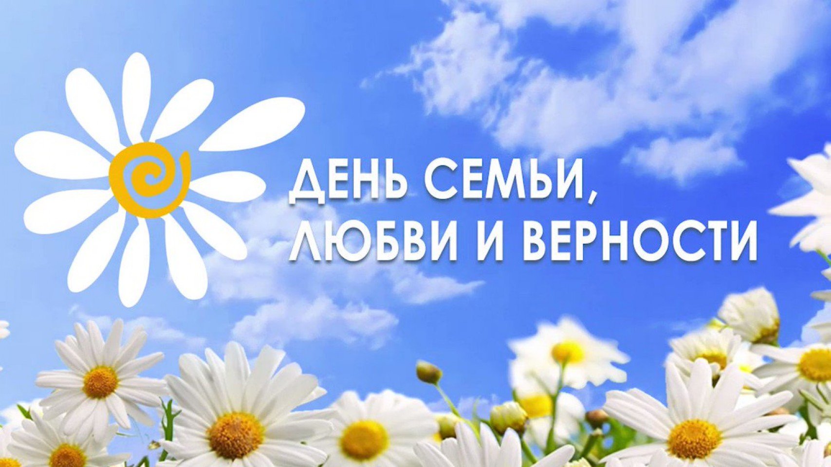  Символ  праздника - ромашка 