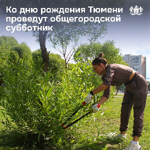 Субботник проведут 20 июля с 9:00 до 13:00