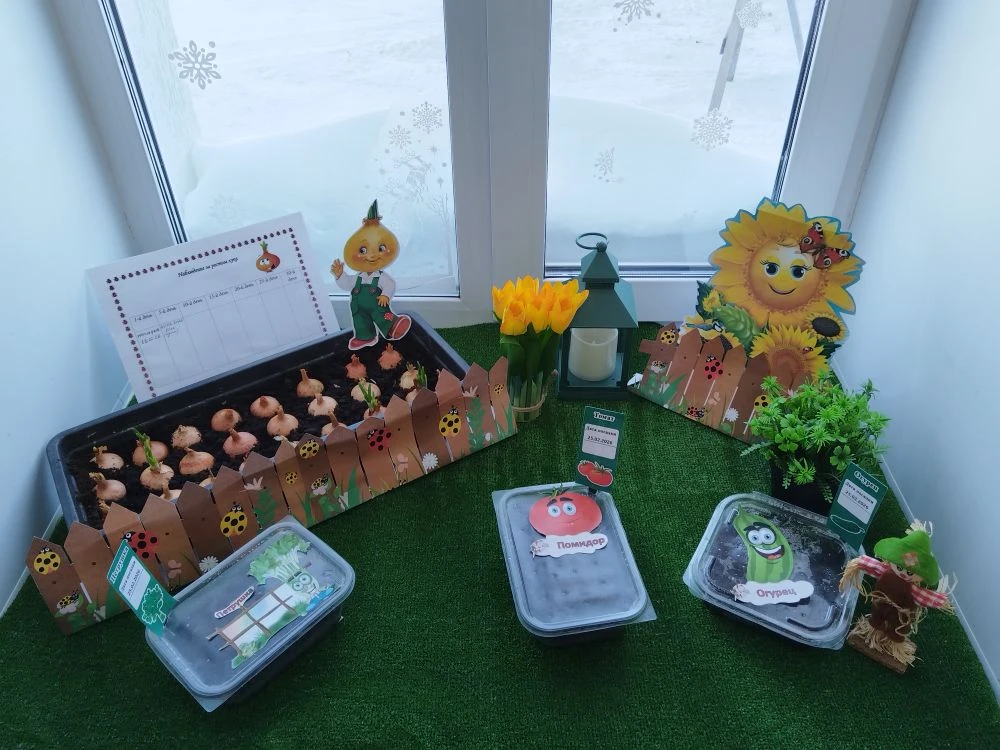 Огород в Ладошке