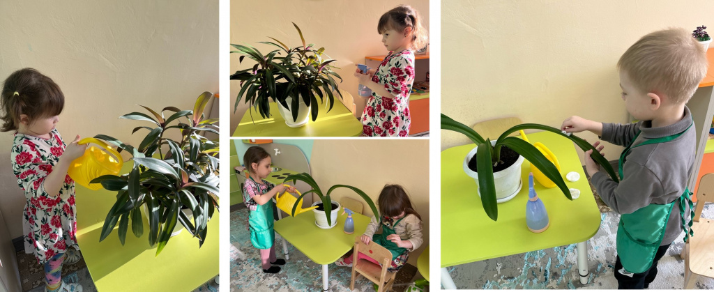 Ухаживаем за цветами.jpg